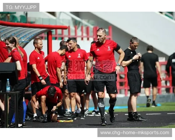 裁判培训国际联动带来判罚风格趋同化