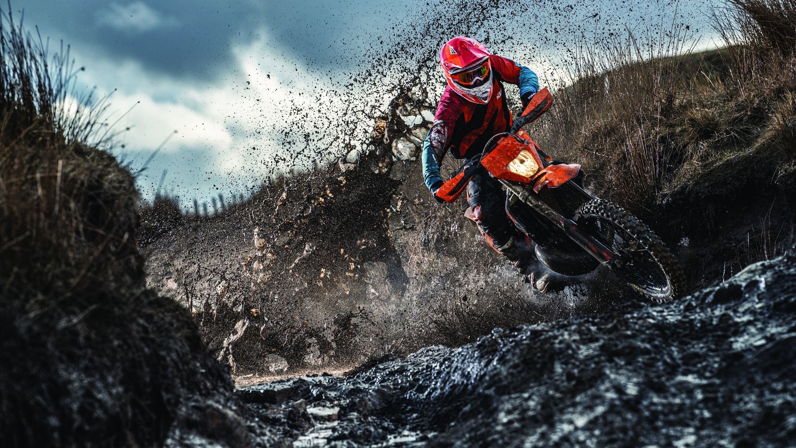 女子4×200米自由泳接力澳大利亚称霸赛场，女子4×100米自由泳接力决赛